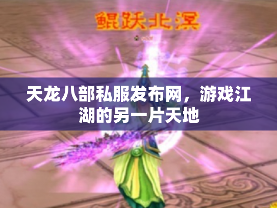 天龙八部私服发布网，游戏江湖的另一片天地
