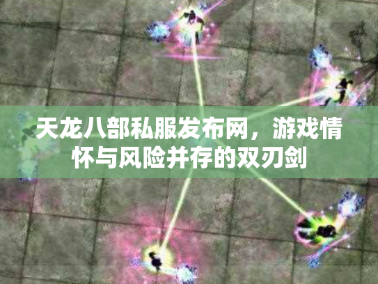 天龙八部私服发布网，游戏情怀与风险并存的双刃剑