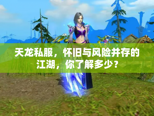 天龙私服，怀旧与风险并存的江湖，你了解多少？