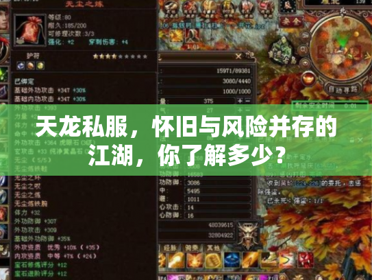 天龙私服，怀旧与风险并存的江湖，你了解多少？