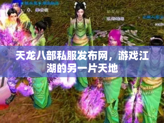 天龙八部私服发布网，游戏江湖的另一片天地