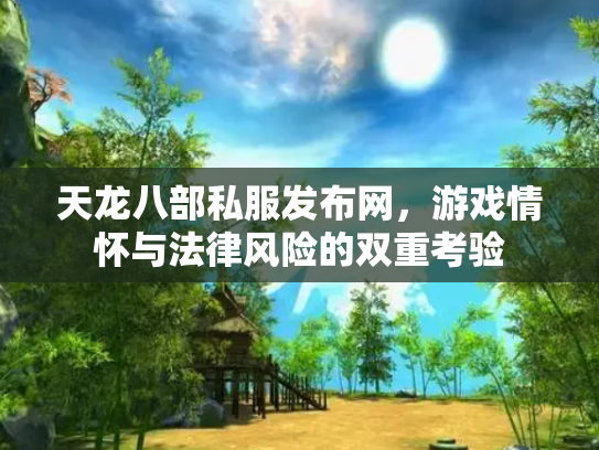 天龙八部私服发布网，游戏情怀与法律风险的双重考验
