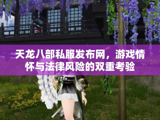 天龙八部私服发布网，游戏情怀与法律风险的双重考验