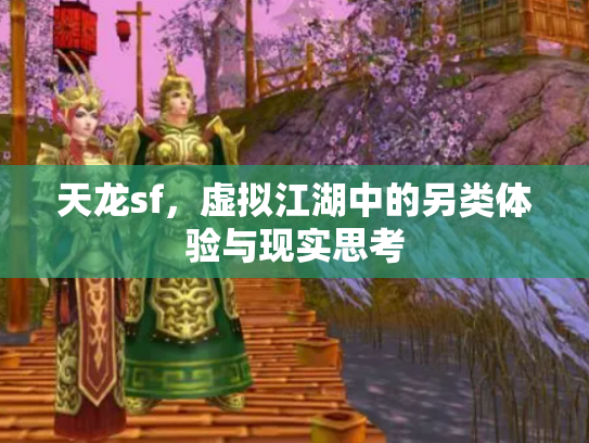 天龙sf，虚拟江湖中的另类体验与现实思考