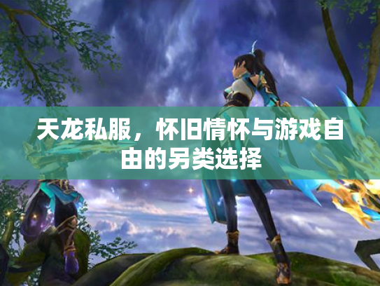 天龙私服，怀旧情怀与游戏自由的另类选择