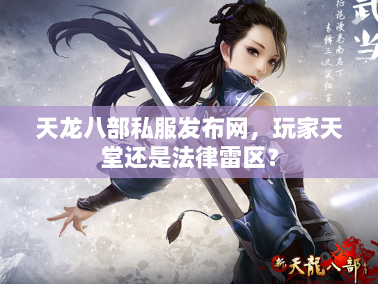 天龙八部私服发布网，玩家天堂还是法律雷区？