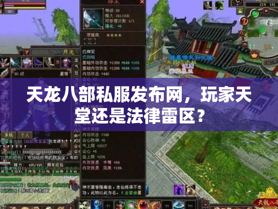 天龙八部私服发布网，玩家天堂还是法律雷区？