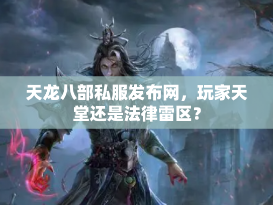 天龙八部私服发布网，玩家天堂还是法律雷区？