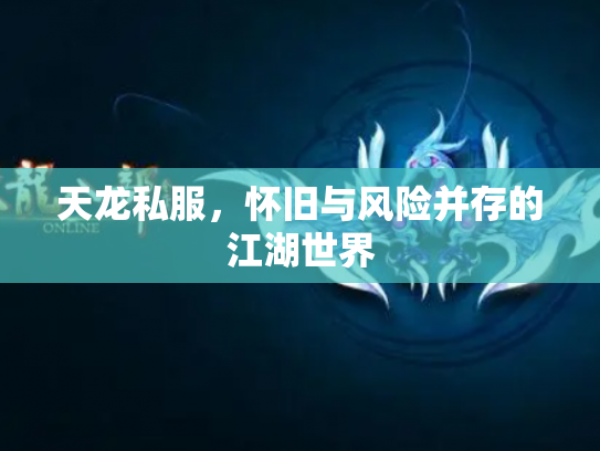 天龙私服，怀旧与风险并存的江湖世界