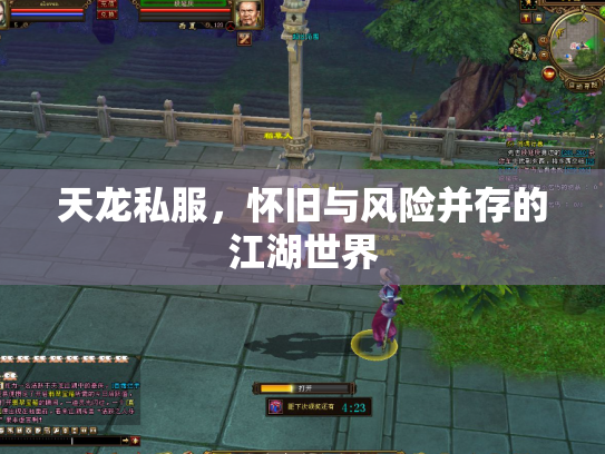 天龙私服，怀旧与风险并存的江湖世界