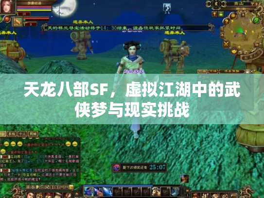 天龙八部SF，虚拟江湖中的武侠梦与现实挑战