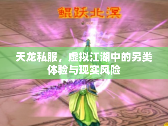 天龙私服，虚拟江湖中的另类体验与现实风险