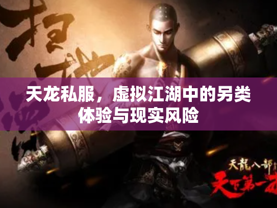 天龙私服，虚拟江湖中的另类体验与现实风险