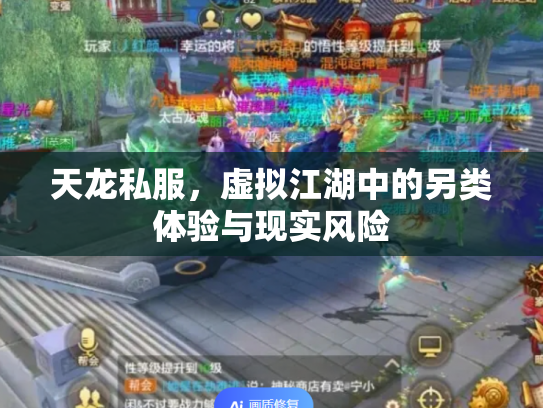 天龙私服，虚拟江湖中的另类体验与现实风险
