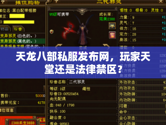 天龙八部私服发布网，玩家天堂还是法律禁区？