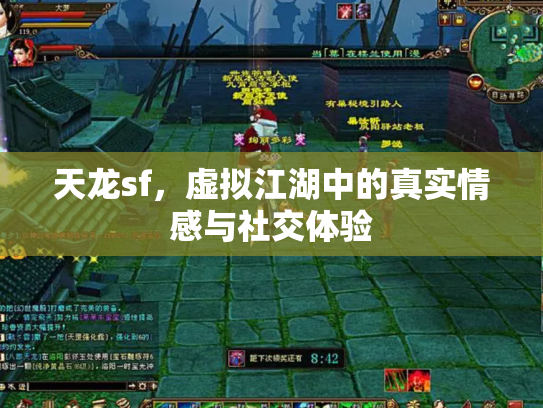 天龙sf，虚拟江湖中的真实情感与社交体验
