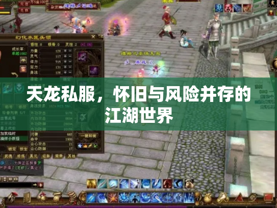 天龙私服，怀旧与风险并存的江湖世界