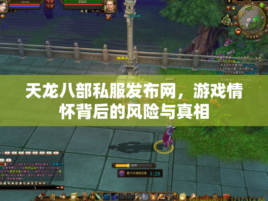 天龙八部私服发布网，游戏情怀背后的风险与真相