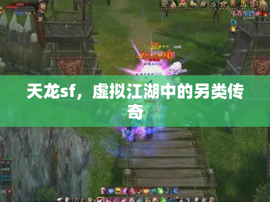 天龙sf，虚拟江湖中的另类传奇