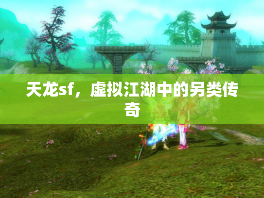 天龙sf，虚拟江湖中的另类传奇