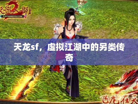 天龙sf，虚拟江湖中的另类传奇