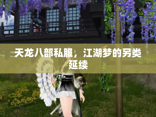 天龙八部私服，江湖梦的另类延续