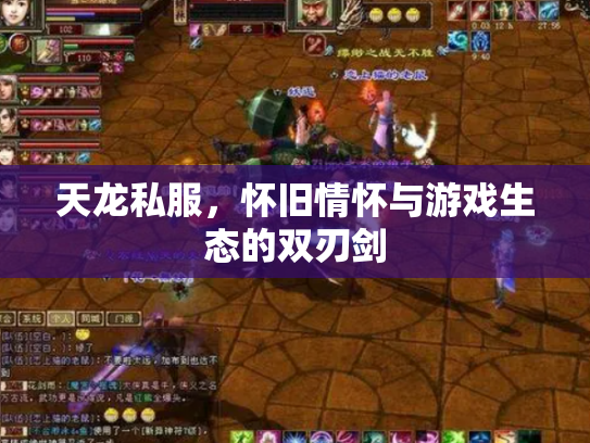 天龙私服，怀旧情怀与游戏生态的双刃剑