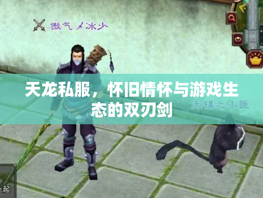 天龙私服，怀旧情怀与游戏生态的双刃剑
