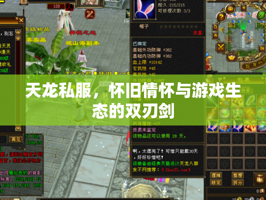 天龙私服，怀旧情怀与游戏生态的双刃剑