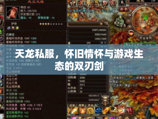 天龙私服，怀旧情怀与游戏生态的双刃剑