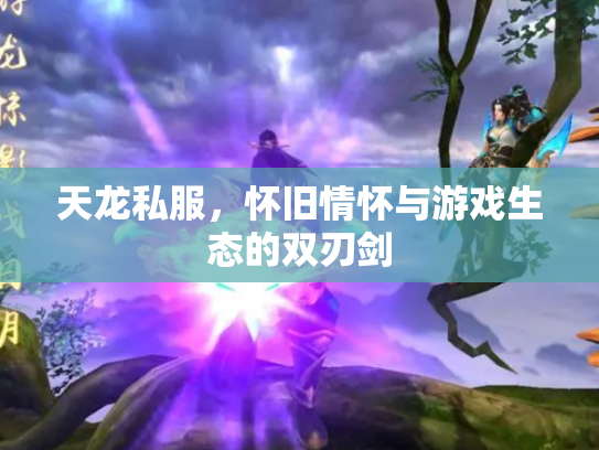 天龙私服，怀旧情怀与游戏生态的双刃剑