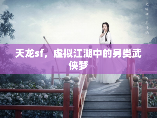 天龙sf，虚拟江湖中的另类武侠梦