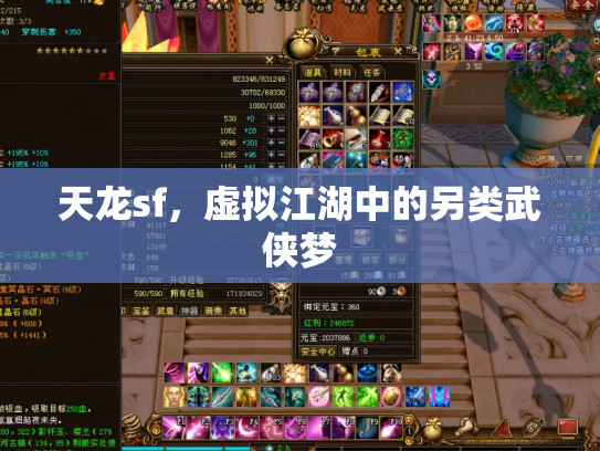 天龙sf，虚拟江湖中的另类武侠梦
