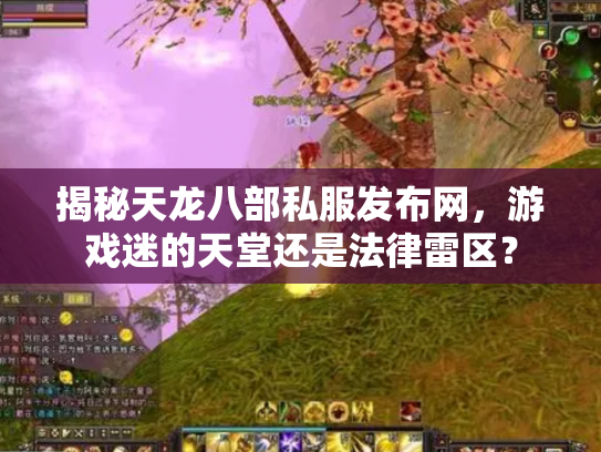 揭秘天龙八部私服发布网，游戏迷的天堂还是法律雷区？