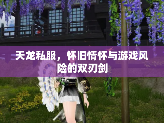 天龙私服，怀旧情怀与游戏风险的双刃剑