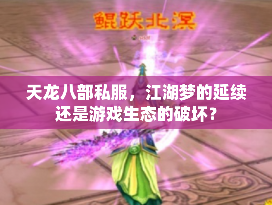 天龙八部私服，江湖梦的延续还是游戏生态的破坏？