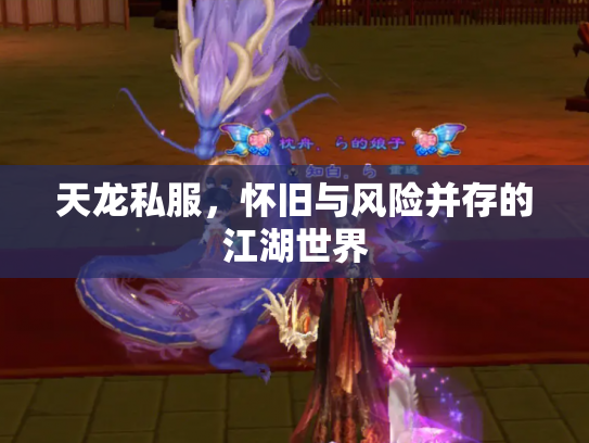 天龙私服，怀旧与风险并存的江湖世界