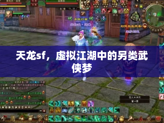 天龙sf，虚拟江湖中的另类武侠梦