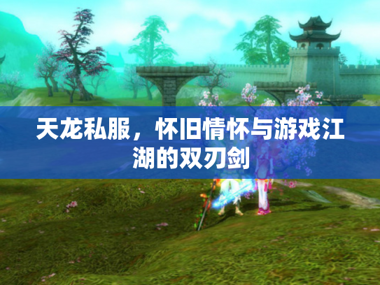 天龙私服，怀旧情怀与游戏江湖的双刃剑