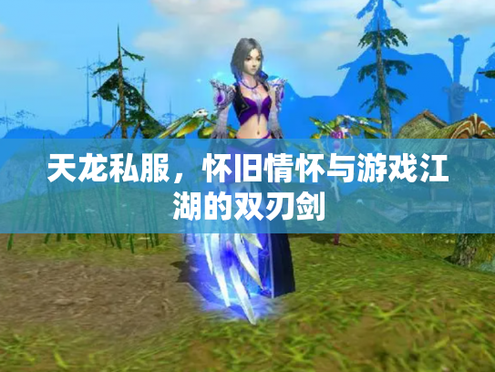 天龙私服，怀旧情怀与游戏江湖的双刃剑