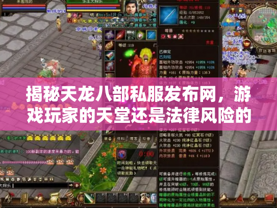 揭秘天龙八部私服发布网，游戏玩家的天堂还是法律风险的深渊？
