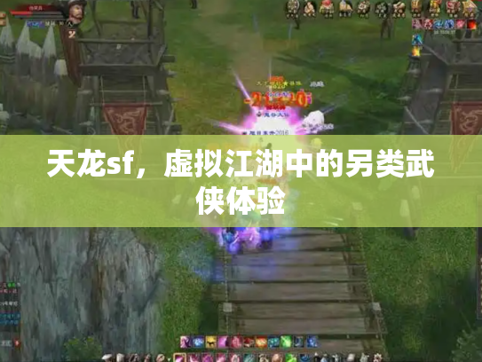 天龙sf，虚拟江湖中的另类武侠体验