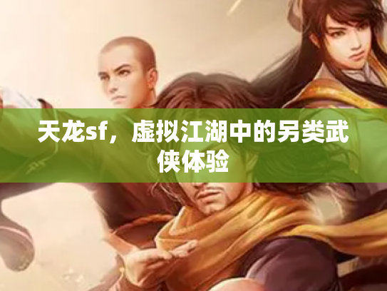 天龙sf，虚拟江湖中的另类武侠体验