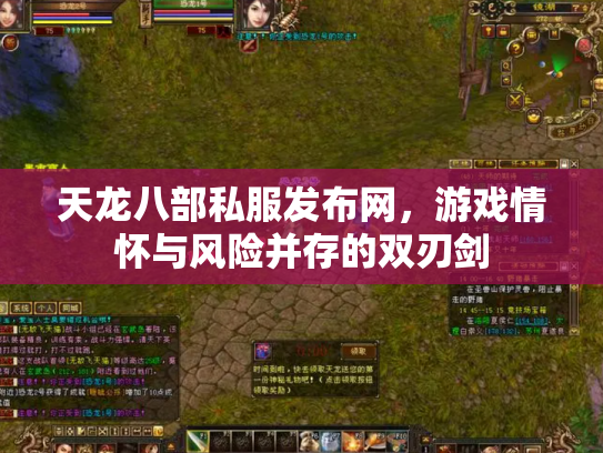 天龙八部私服发布网，游戏情怀与风险并存的双刃剑