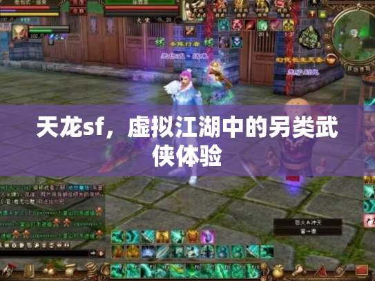 天龙sf，虚拟江湖中的另类武侠体验