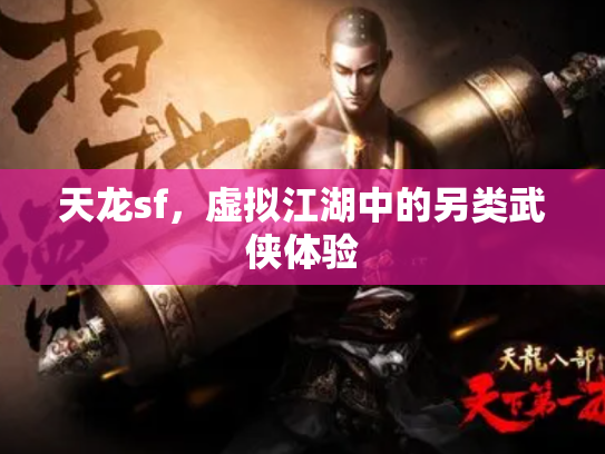 天龙sf，虚拟江湖中的另类武侠体验