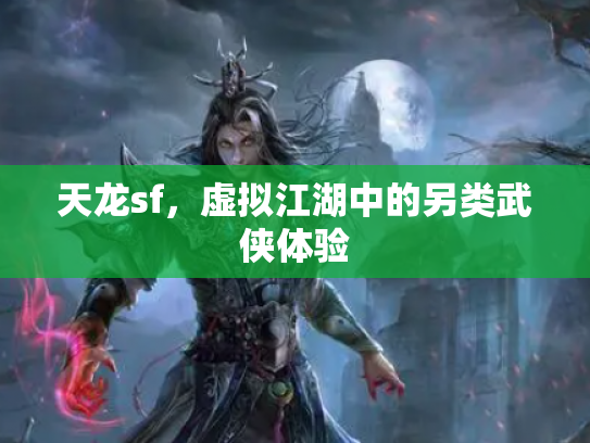 天龙sf，虚拟江湖中的另类武侠体验