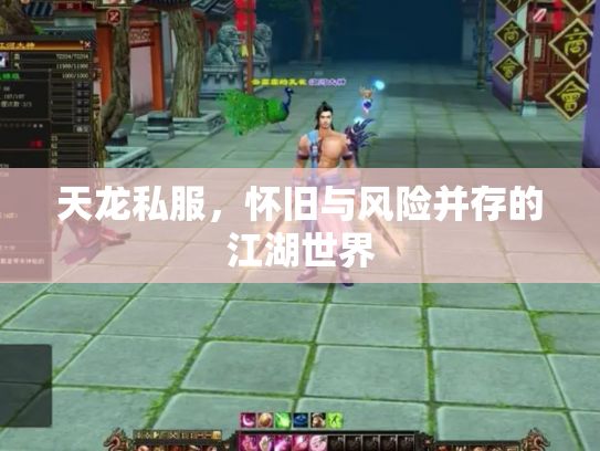 天龙私服，怀旧与风险并存的江湖世界