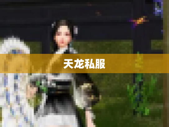 天龙私服