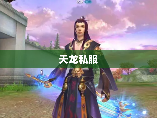 天龙私服